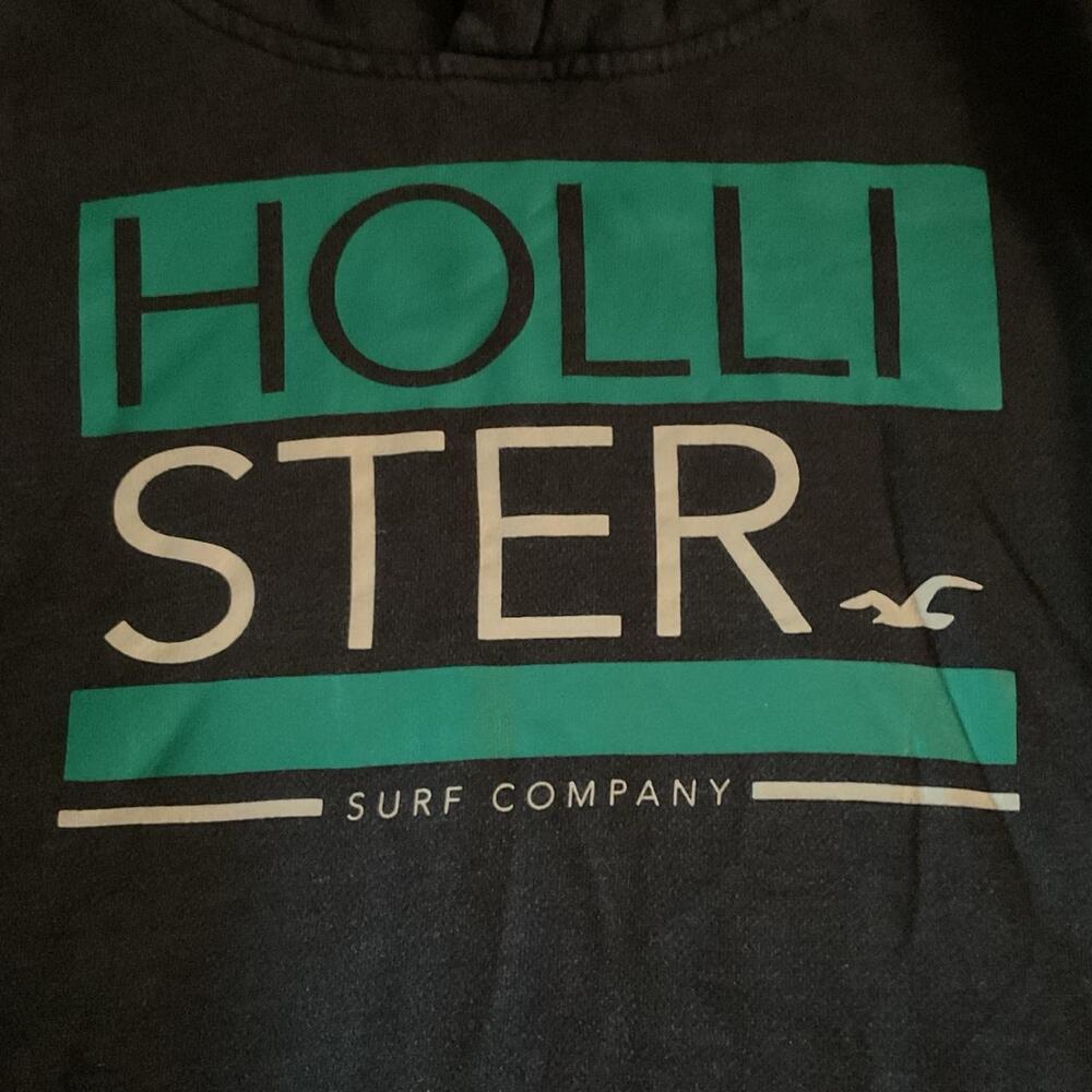 Cozy y2k grunge aesthetic hollister surf company pullover hoodie